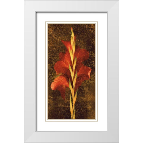 Gladiola White Modern Wood Framed Art Print with Double Matting by Seba, John