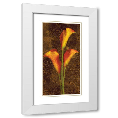 Callas White Modern Wood Framed Art Print with Double Matting by Seba, John