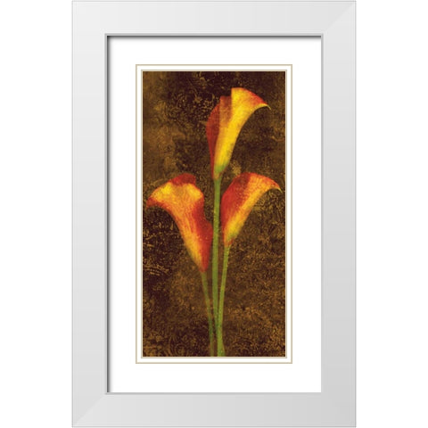 Callas White Modern Wood Framed Art Print with Double Matting by Seba, John