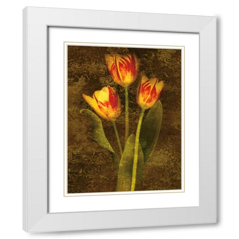 Three Tulips White Modern Wood Framed Art Print with Double Matting by Seba, John