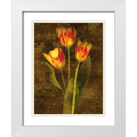 Three Tulips White Modern Wood Framed Art Print with Double Matting by Seba, John