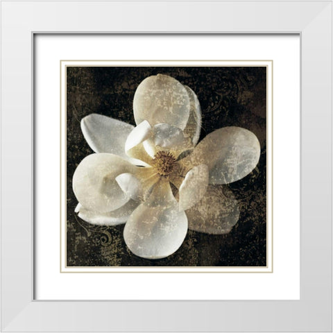 Magnolia I White Modern Wood Framed Art Print with Double Matting by Seba, John