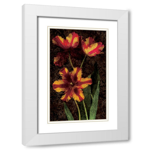 Decorative Tulips I White Modern Wood Framed Art Print with Double Matting by Seba, John
