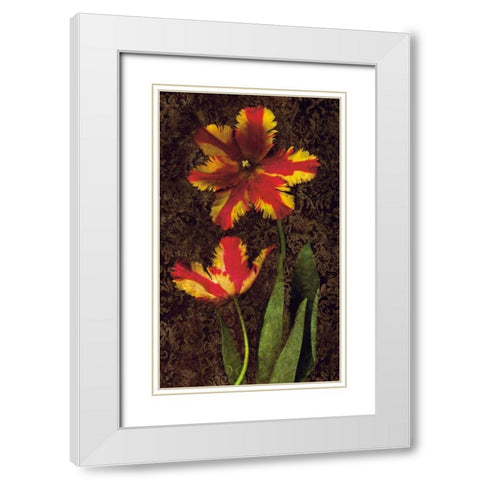Decorative Tulips II White Modern Wood Framed Art Print with Double Matting by Seba, John