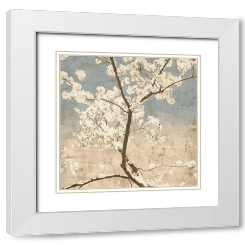 Cherry Blossoms I White Modern Wood Framed Art Print with Double Matting by Seba, John
