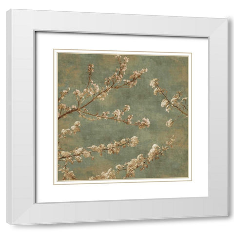 Morning Blossom II White Modern Wood Framed Art Print with Double Matting by Seba, John
