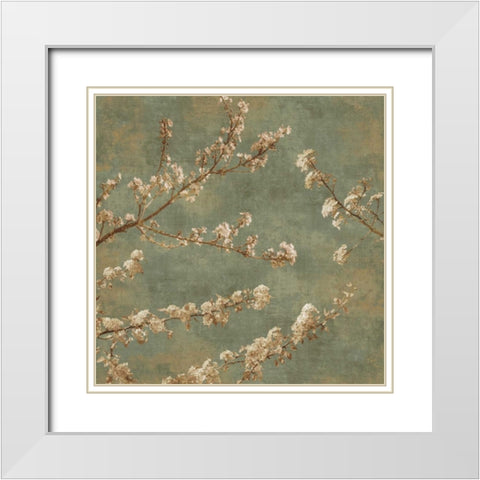 Morning Blossom II White Modern Wood Framed Art Print with Double Matting by Seba, John