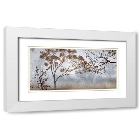 Early Morning Mist II White Modern Wood Framed Art Print with Double Matting by Seba, John