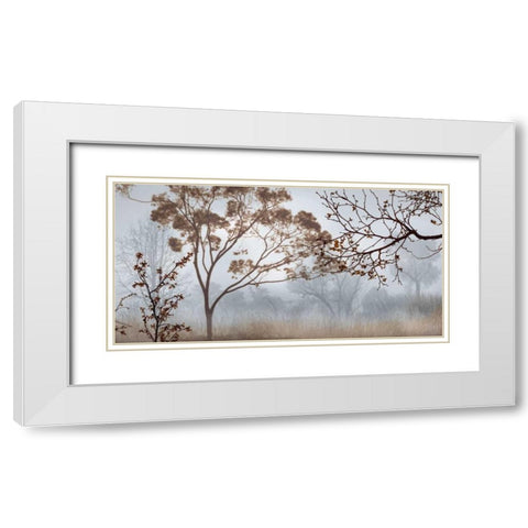 Early Morning Mist II White Modern Wood Framed Art Print with Double Matting by Seba, John