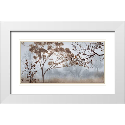 Early Morning Mist II White Modern Wood Framed Art Print with Double Matting by Seba, John