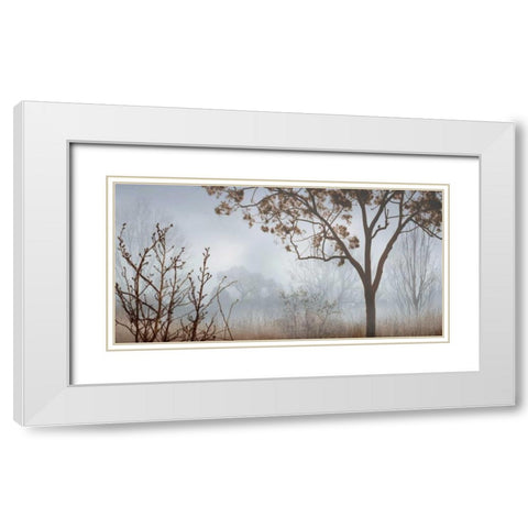 Early Morning Mist I White Modern Wood Framed Art Print with Double Matting by Seba, John