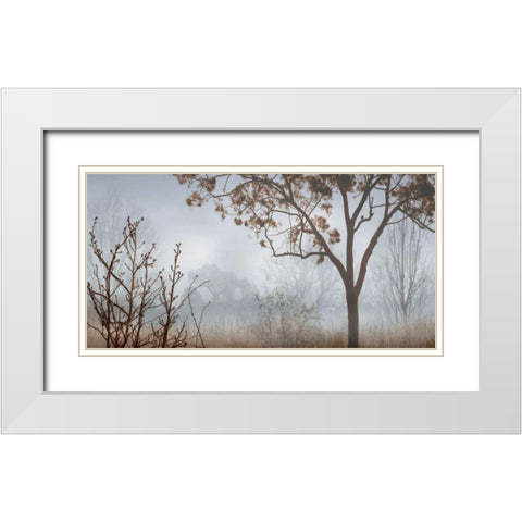 Early Morning Mist I White Modern Wood Framed Art Print with Double Matting by Seba, John