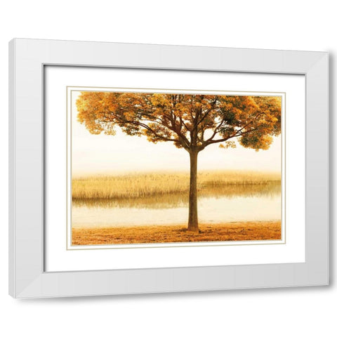 Golden Morning I White Modern Wood Framed Art Print with Double Matting by Seba, John