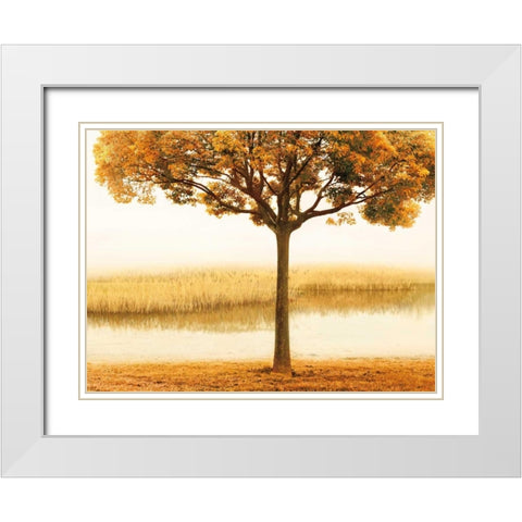 Golden Morning I White Modern Wood Framed Art Print with Double Matting by Seba, John