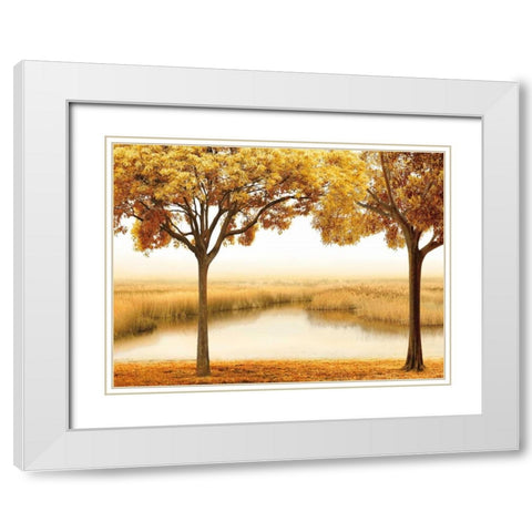 Golden Morning II White Modern Wood Framed Art Print with Double Matting by Seba, John
