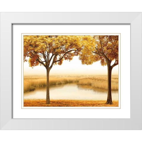 Golden Morning II White Modern Wood Framed Art Print with Double Matting by Seba, John