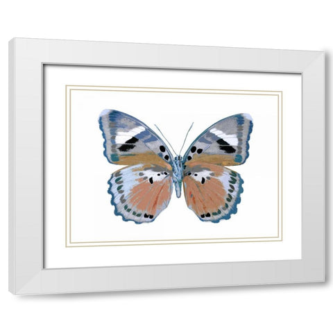 Butterfly in Pink II White Modern Wood Framed Art Print with Double Matting by Bosco, Julia