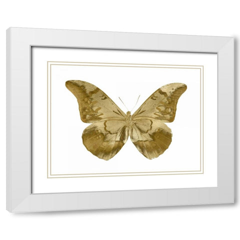 Golden Butterfly III White Modern Wood Framed Art Print with Double Matting by Bosco, Julia