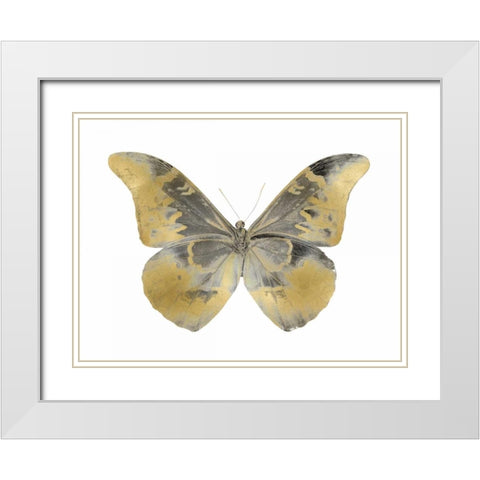Golden Butterfly II White Modern Wood Framed Art Print with Double Matting by Bosco, Julia