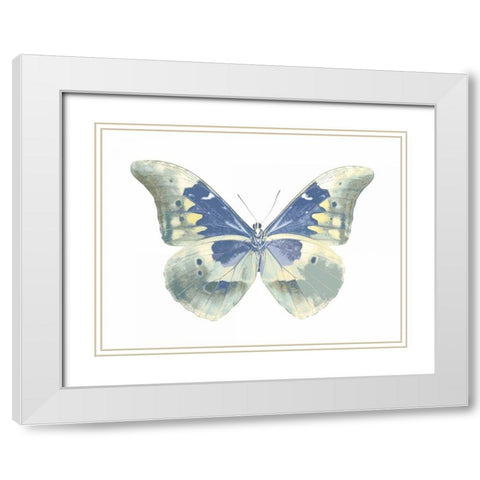 Butterfly in Aqua II White Modern Wood Framed Art Print with Double Matting by Bosco, Julia