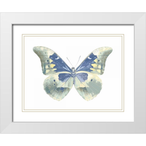 Butterfly in Aqua II White Modern Wood Framed Art Print with Double Matting by Bosco, Julia