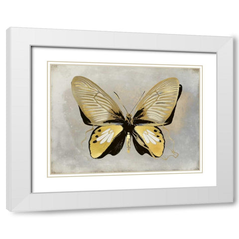 Butterfly Study I White Modern Wood Framed Art Print with Double Matting by Bosco, Julia