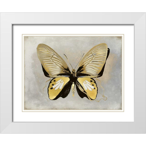 Butterfly Study I White Modern Wood Framed Art Print with Double Matting by Bosco, Julia