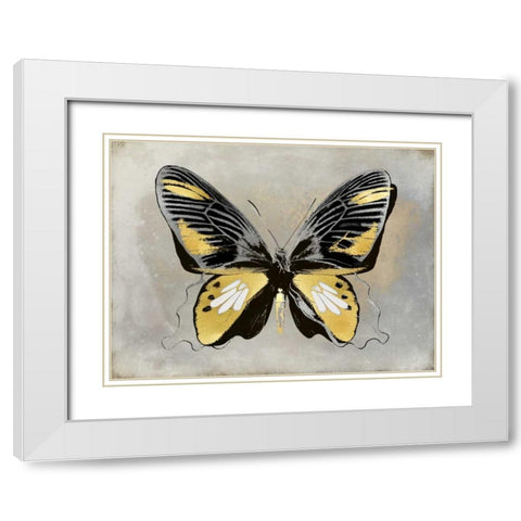 Butterfly Study III White Modern Wood Framed Art Print with Double Matting by Bosco, Julia