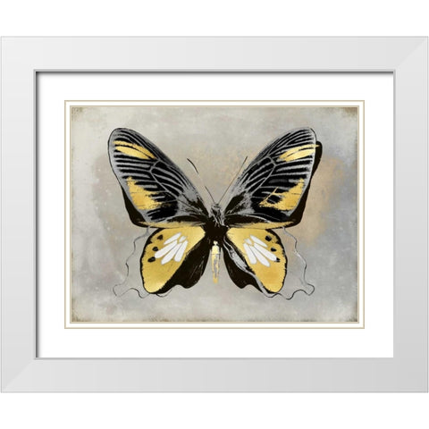Butterfly Study III White Modern Wood Framed Art Print with Double Matting by Bosco, Julia