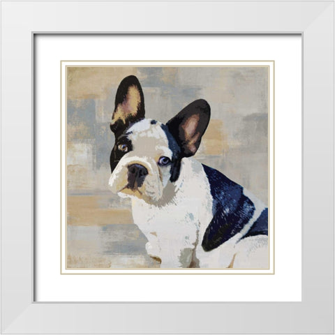 French Bulldog White Modern Wood Framed Art Print with Double Matting by Rodgers, Keri