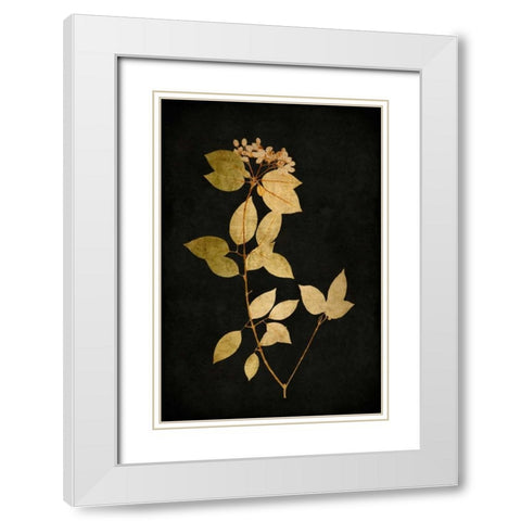 Golden Nature VI White Modern Wood Framed Art Print with Double Matting by Bennett, Kate