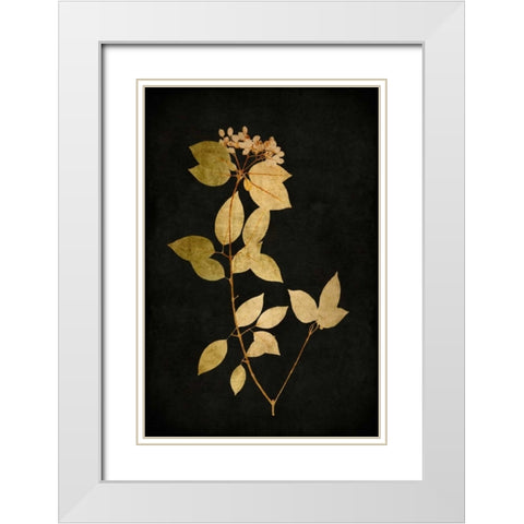 Golden Nature VI White Modern Wood Framed Art Print with Double Matting by Bennett, Kate