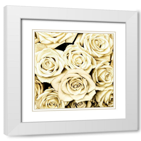 Roses White Modern Wood Framed Art Print with Double Matting by Bennett, Kate