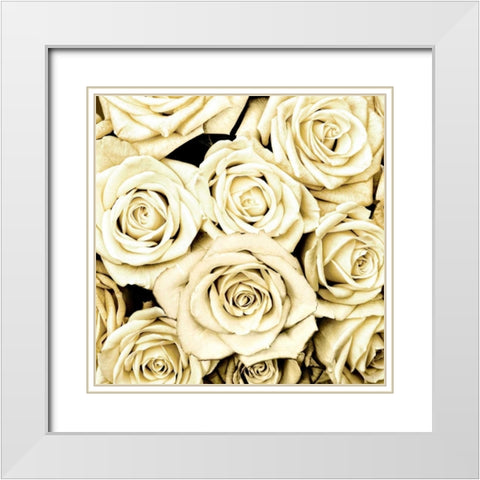 Roses White Modern Wood Framed Art Print with Double Matting by Bennett, Kate