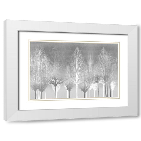 Silver Trees White Modern Wood Framed Art Print with Double Matting by Bennett, Kate