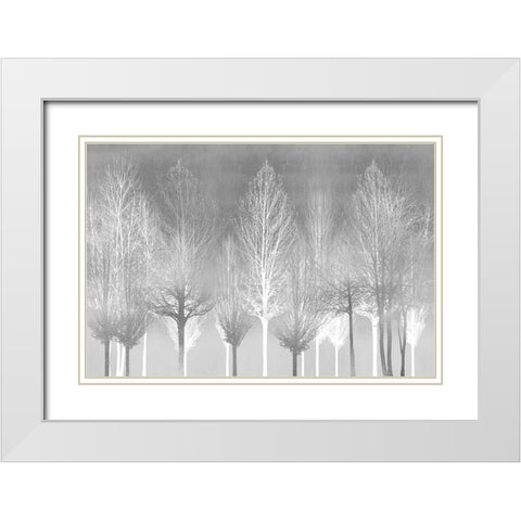 Silver Trees White Modern Wood Framed Art Print with Double Matting by Bennett, Kate