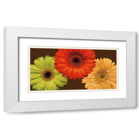 Daisy Trio White Modern Wood Framed Art Print with Double Matting by Blake, Lindsay