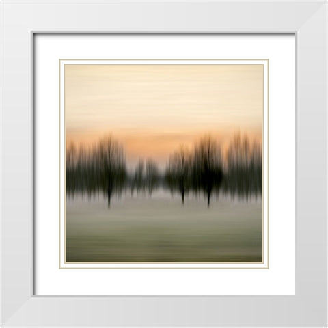 Early Morning VI White Modern Wood Framed Art Print with Double Matting by Clark, Madeline