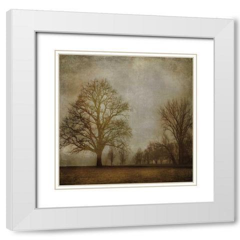 Morning Meditation I White Modern Wood Framed Art Print with Double Matting by Clark, Madeline