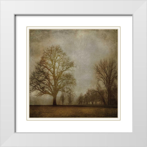 Morning Meditation I White Modern Wood Framed Art Print with Double Matting by Clark, Madeline