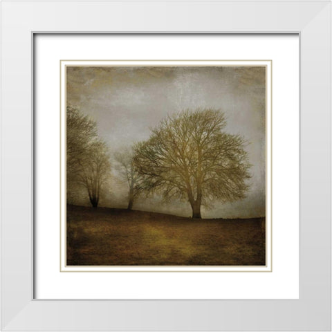 Morning Meditation II White Modern Wood Framed Art Print with Double Matting by Clark, Madeline