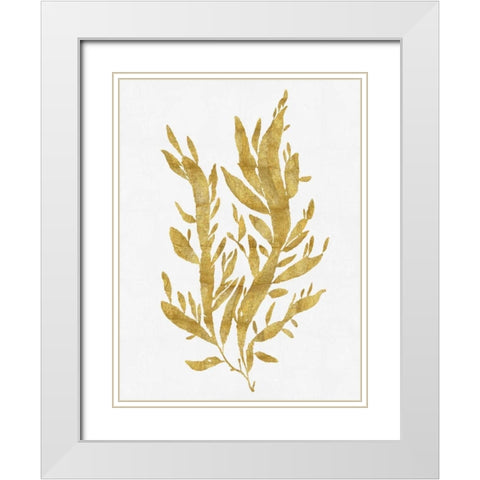 Sea Life - Gold on White IV White Modern Wood Framed Art Print with Double Matting by Miller, Melonie