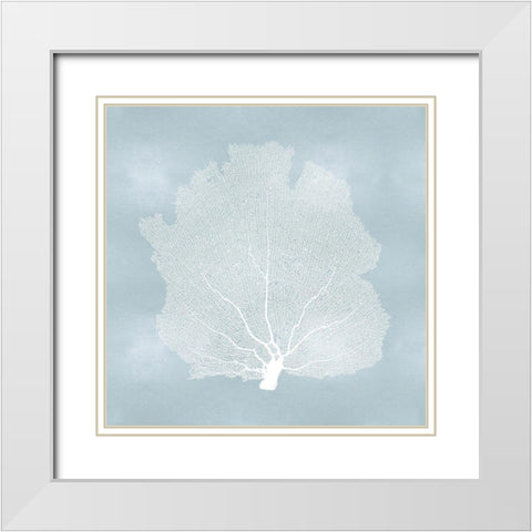 Sea Fan on Aqua I White Modern Wood Framed Art Print with Double Matting by Miller, Melonie