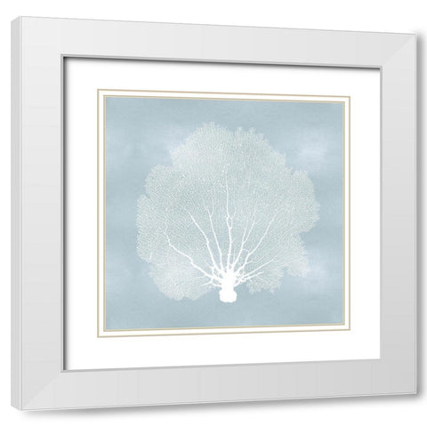 Sea Fan on Aqua II White Modern Wood Framed Art Print with Double Matting by Miller, Melonie
