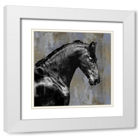Black Stallion White Modern Wood Framed Art Print with Double Matting by Rose, Martin