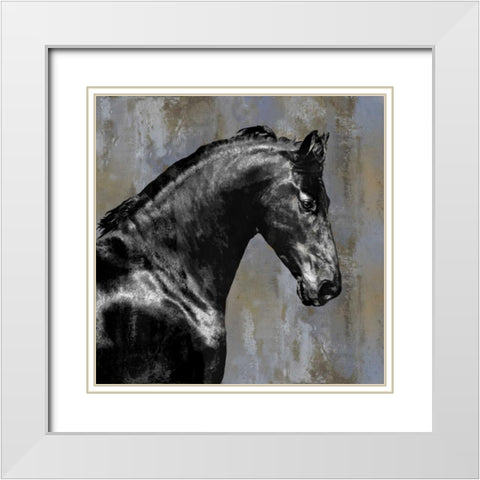 Black Stallion White Modern Wood Framed Art Print with Double Matting by Rose, Martin