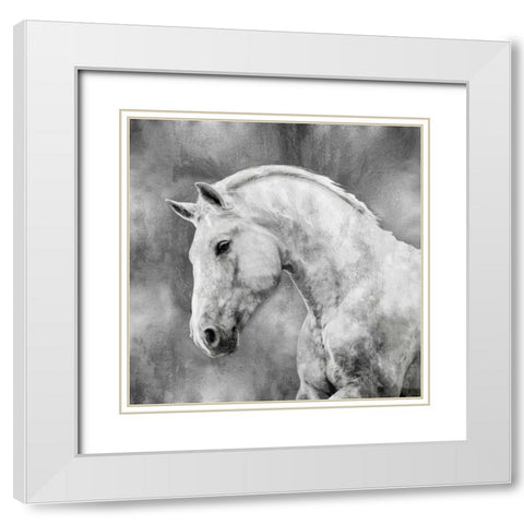White Stallion on Silver White Modern Wood Framed Art Print with Double Matting by Rose, Martin