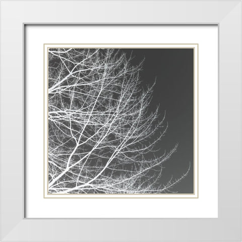 Tree Silhouette III White on Gray White Modern Wood Framed Art Print with Double Matting by Pollard, David