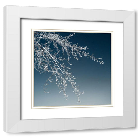 Tree Silhouette I White on Light Blue White Modern Wood Framed Art Print with Double Matting by Pollard, David