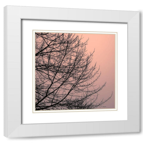 Tree Silhouette II Black on Pink White Modern Wood Framed Art Print with Double Matting by Pollard, David